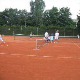 db_IMG_16211_Tb270x270jpg.png